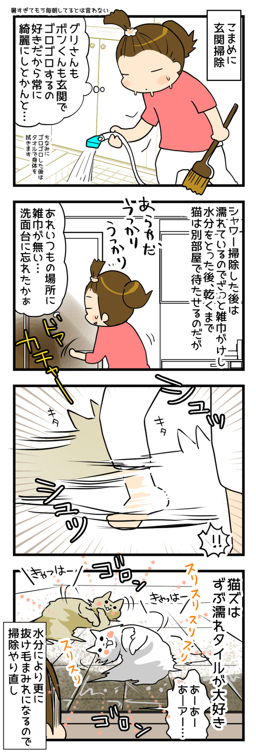 玄関掃除