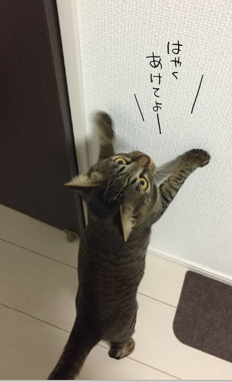 キャプチャ2