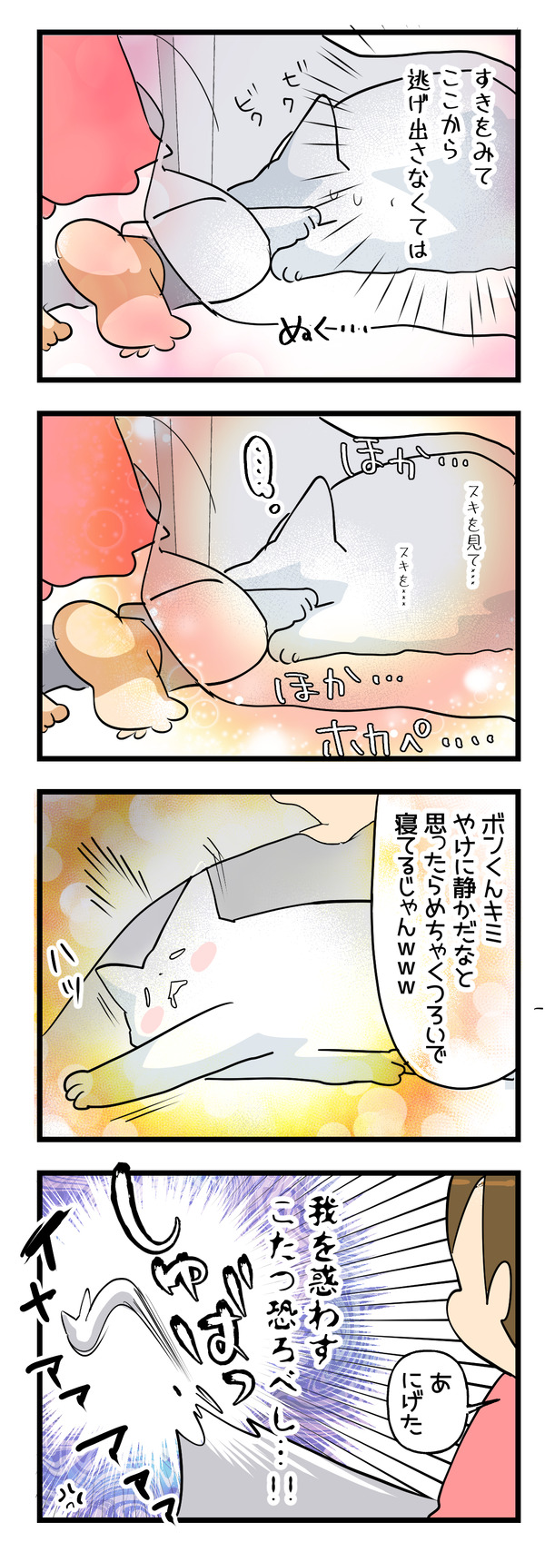 忘年会の時の猫2