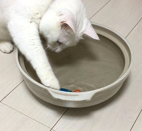 キャプチャ04