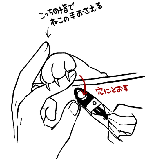 キャプチャ