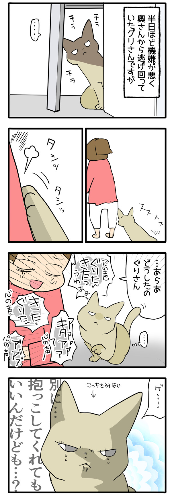 スライディング猫おまけ
