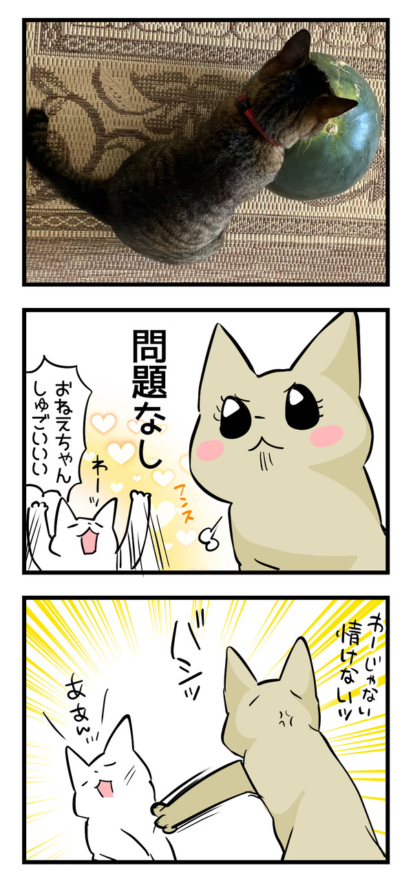 スイカ4