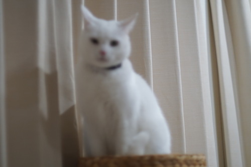 DSC00605