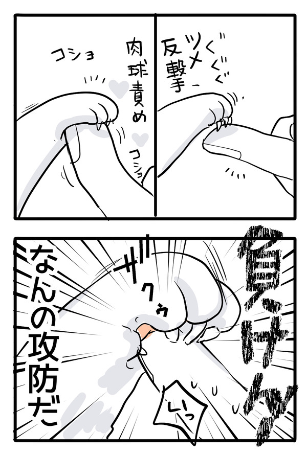 変な攻防戦2