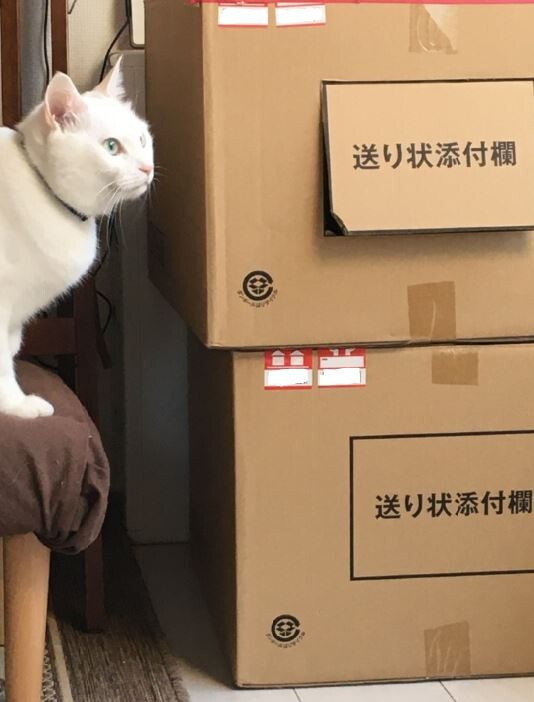 キャプチャ