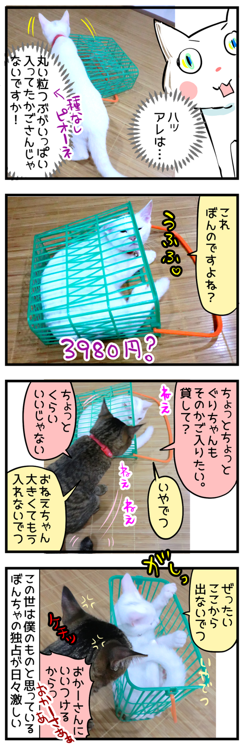 この世はぼくの