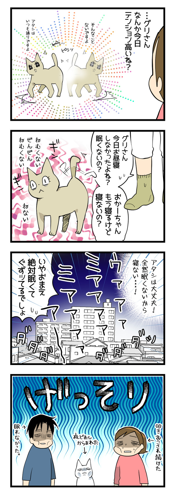 猫たちの変化2