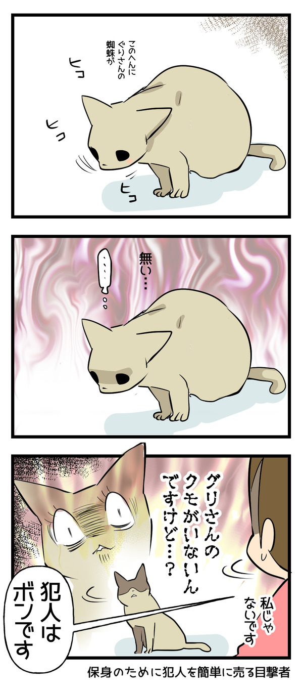 グリさんの大切なクモ3