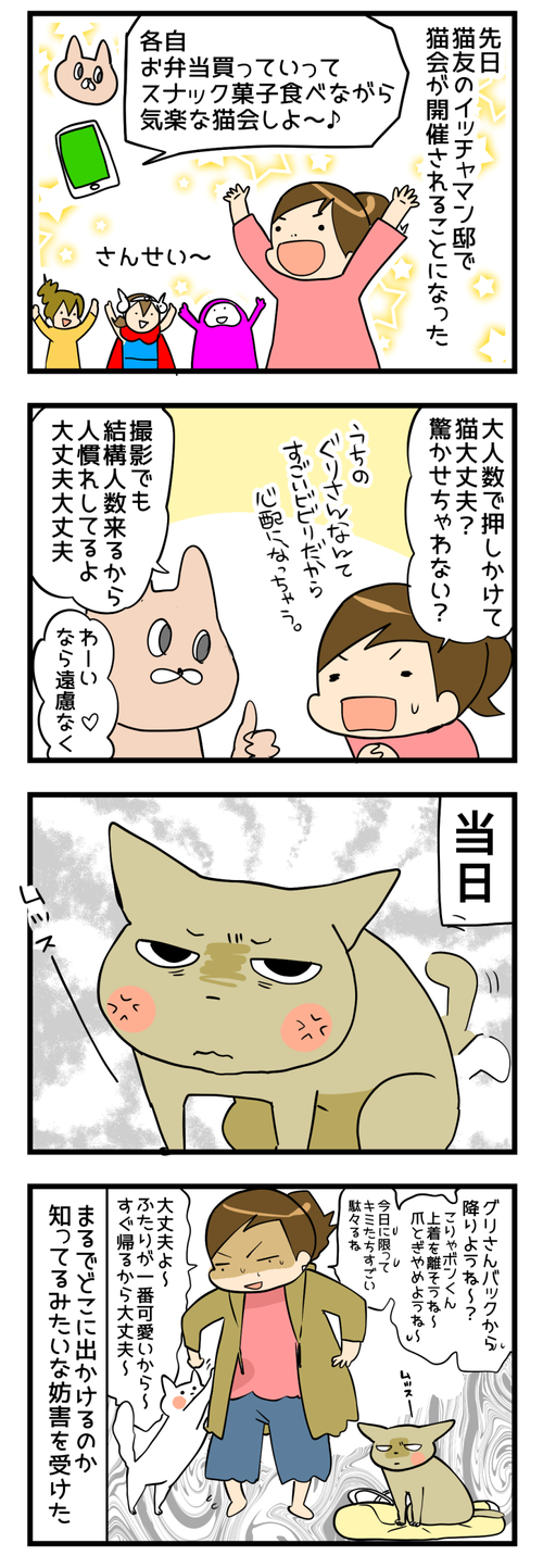 猫会イッチャマン邸