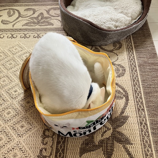 ムック本15
