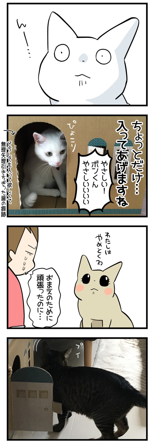おうちダンボール2