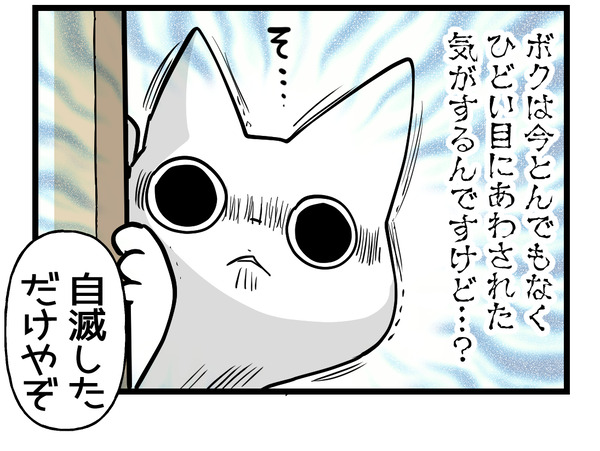 猫交通事故3