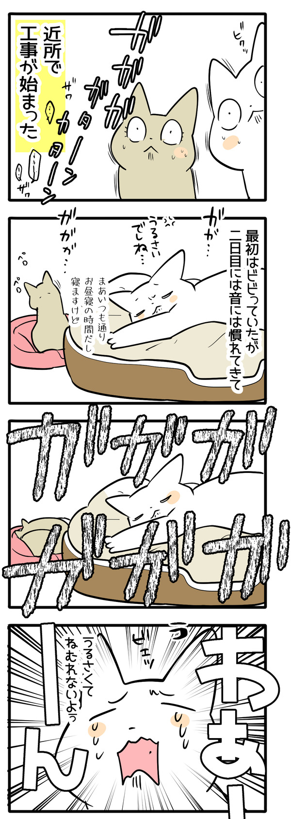 強いのはどちら