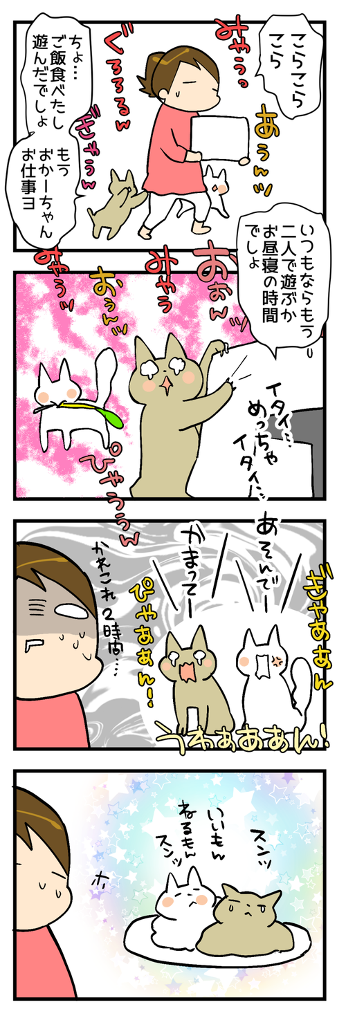 長男が