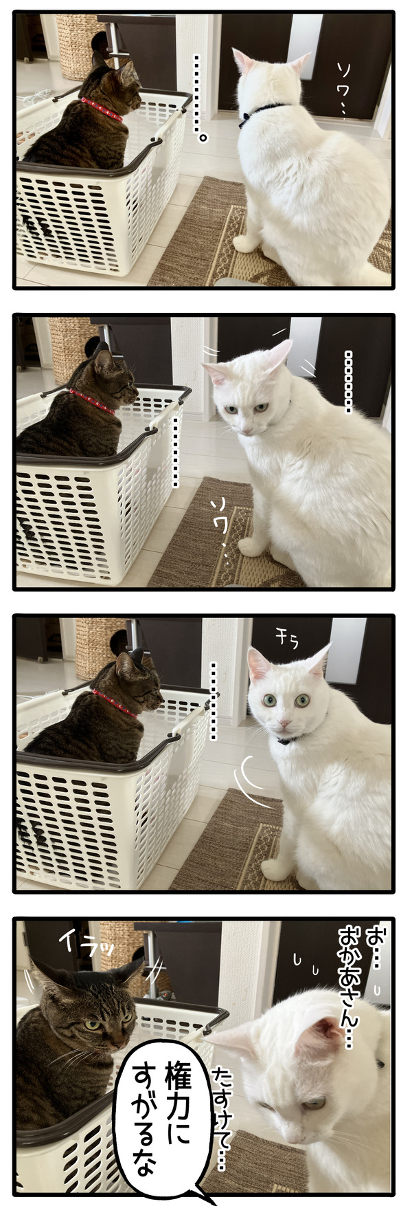 所有権の奪い合い2