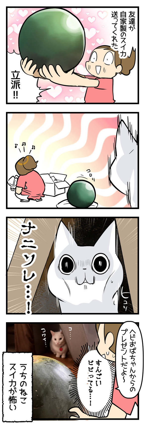 スイカ