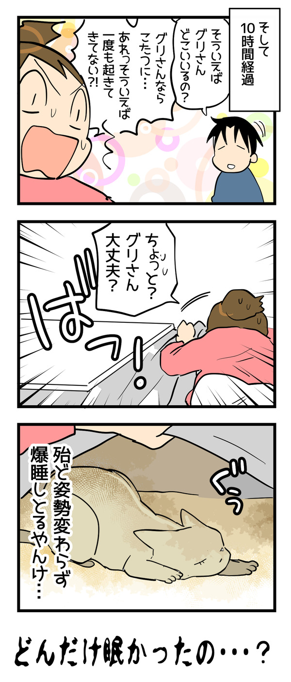 不器用グリさん2-2