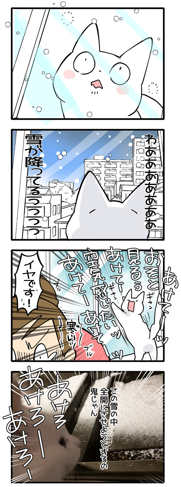 関東に大雪警報が出た猫