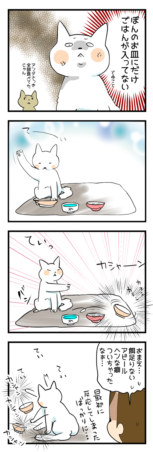 ぼんのごはん2