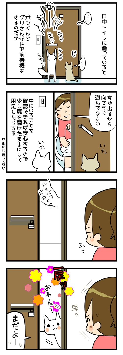 猫とトイレと私