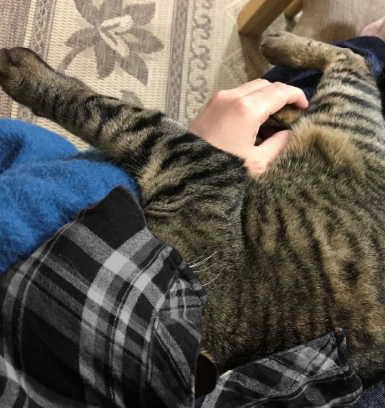 キャプチャ