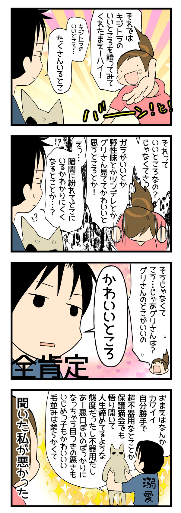 キジトラのいいところ
