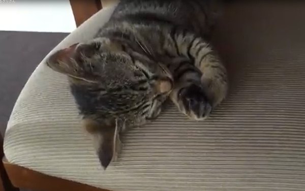 スクリーンショット 2026-01-16 141709