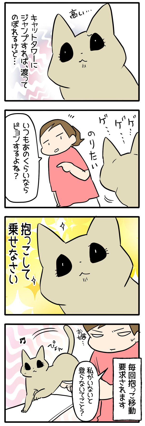 飼い主は使う物2