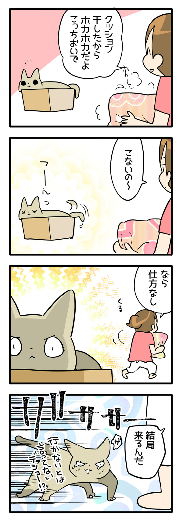 猫はきまぐれ