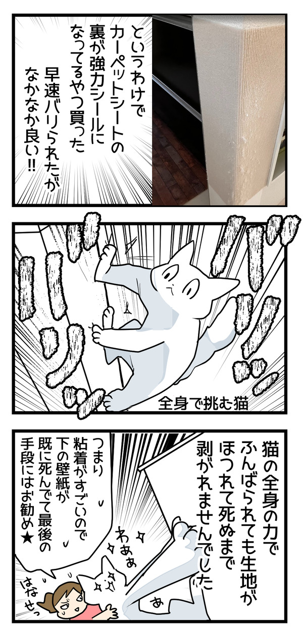 爪とぎシートよかった2