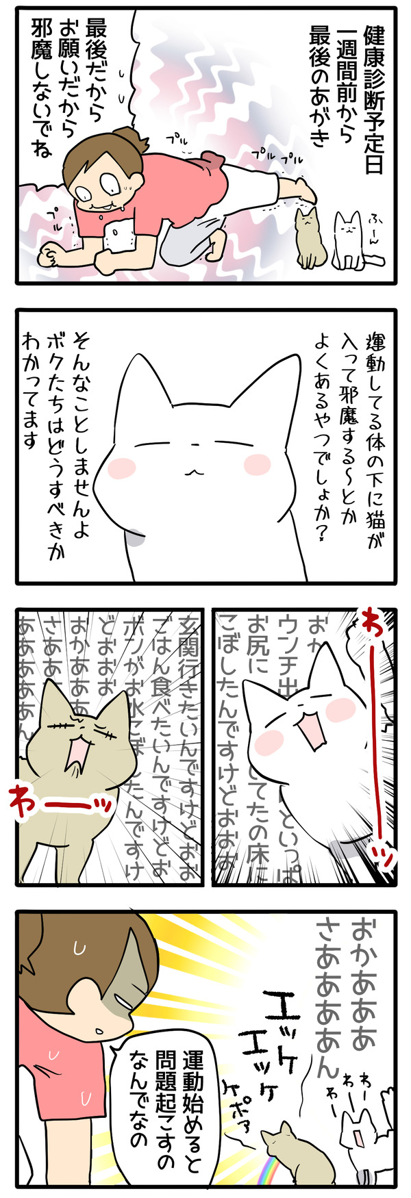 ○○をすると猫が寄ってくる問題