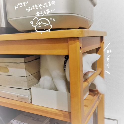 キャプチャ