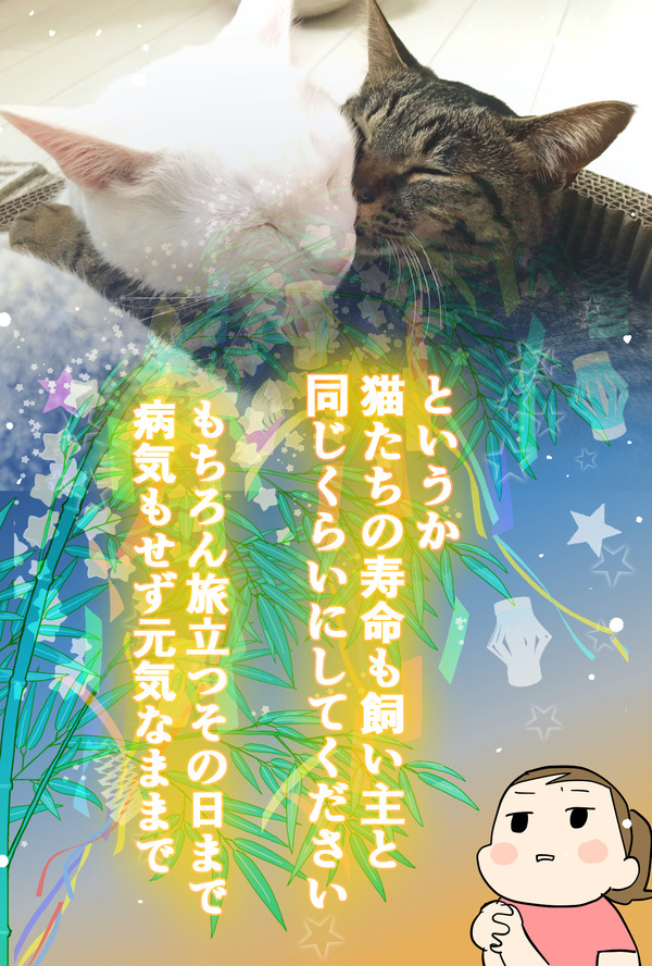 七夕2