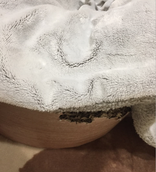 キャプチャ