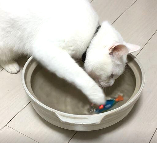 キャプチャ03