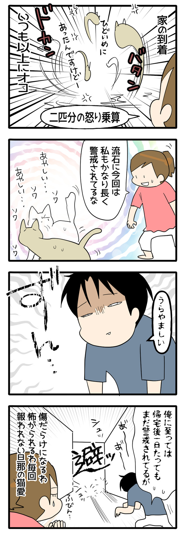 猫の健康診断72