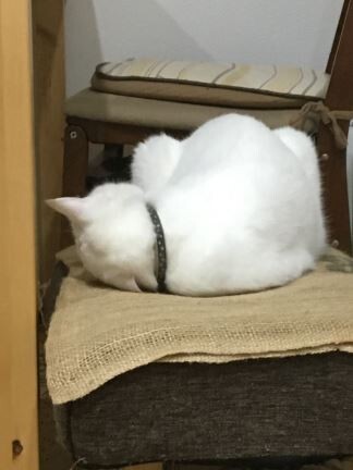 キャプチャ