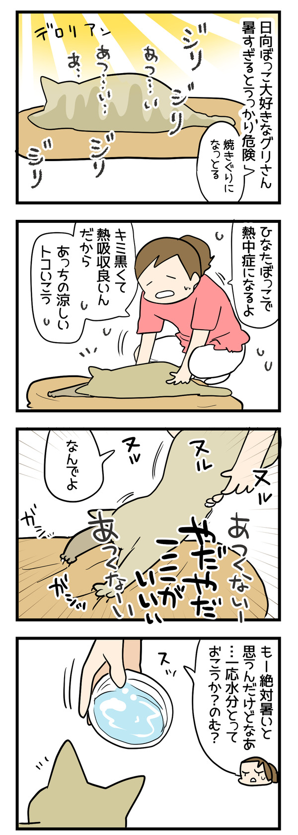 暑さと猫