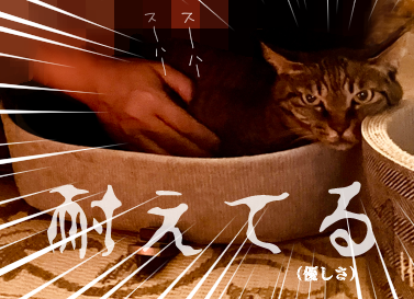 スクリーンショット 2026-01-29 141640