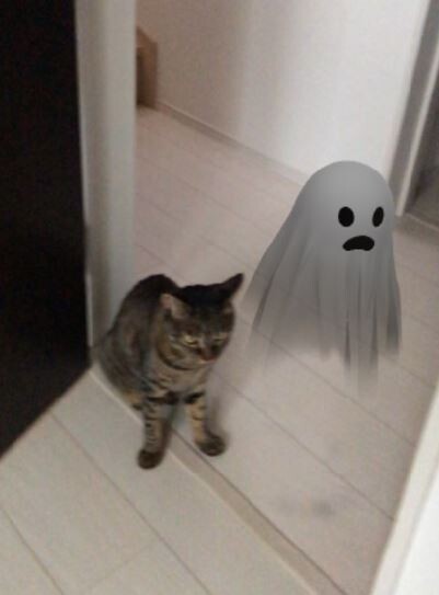 キャプチャ