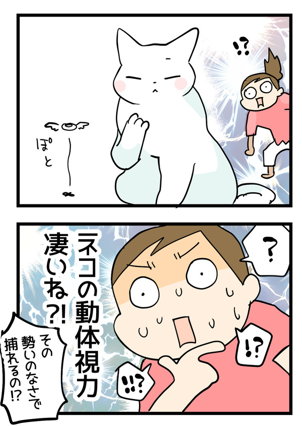 羽虫と猫の動体視力2