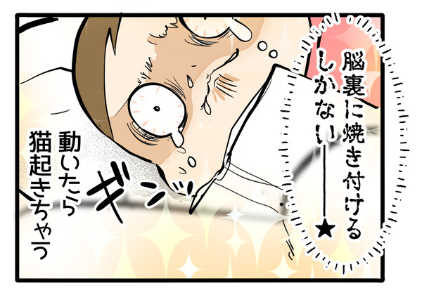 撮りたい写真が撮れない話3