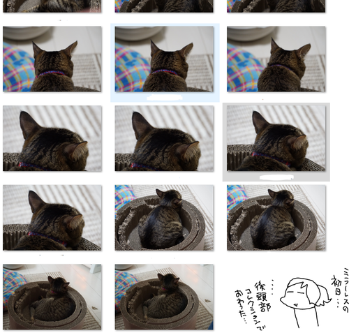 キャプチャ