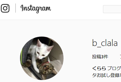 キャプチャ