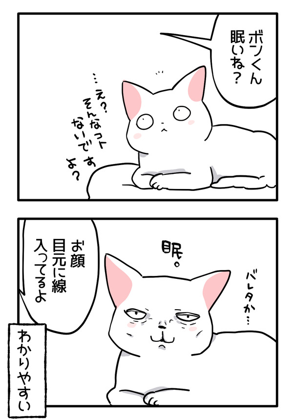 眠い猫