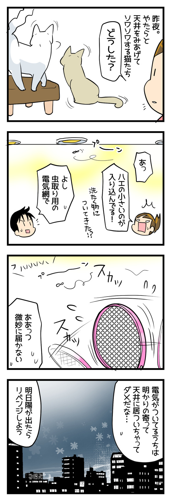 虫取り名人