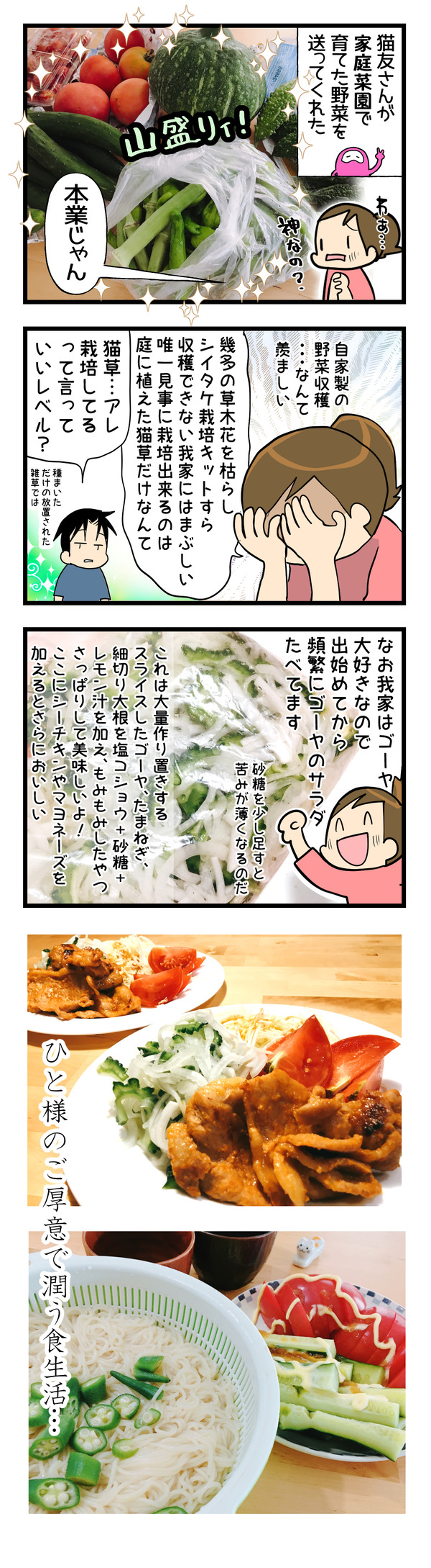 家庭菜園