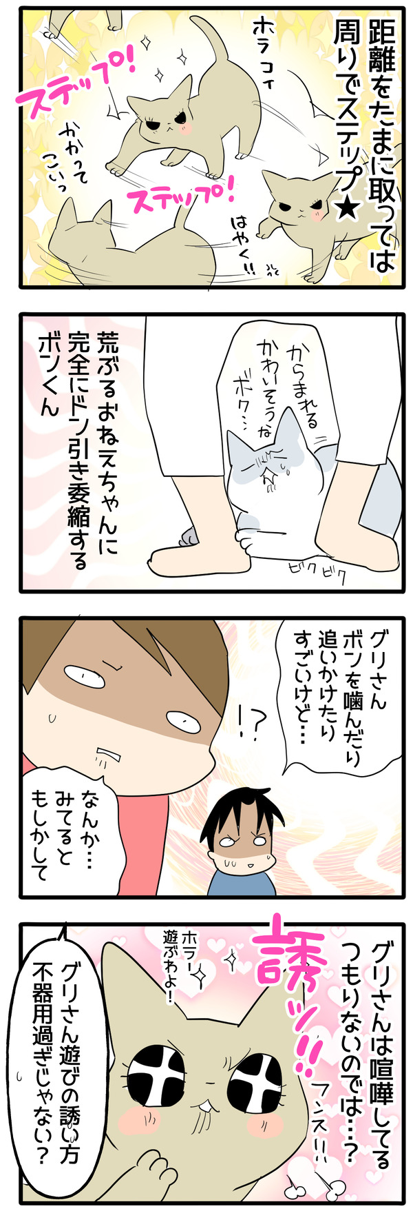猫の誘い方2