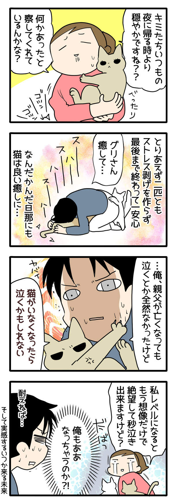 今回の猫たち２